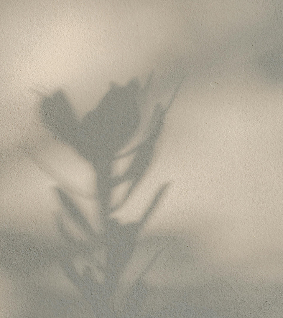 Skin Soothing Alginate Mask 750g